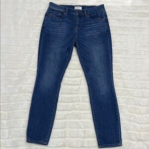 LOFT Blue Skinny Jeans